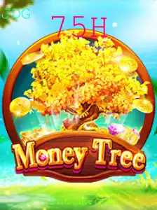 Conheça o Dinâmico Jogo MoneyTree e as Regras do 75H